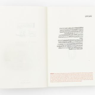 mroue-rabih-diary-of-a-leap-year-11