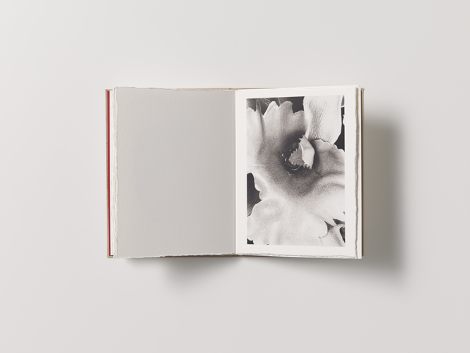 NA_1406_Pillowbook_Erotos_0288_72dpi_665px NA_1406_Pillowbook_Erotos_0288_72dpi_665px