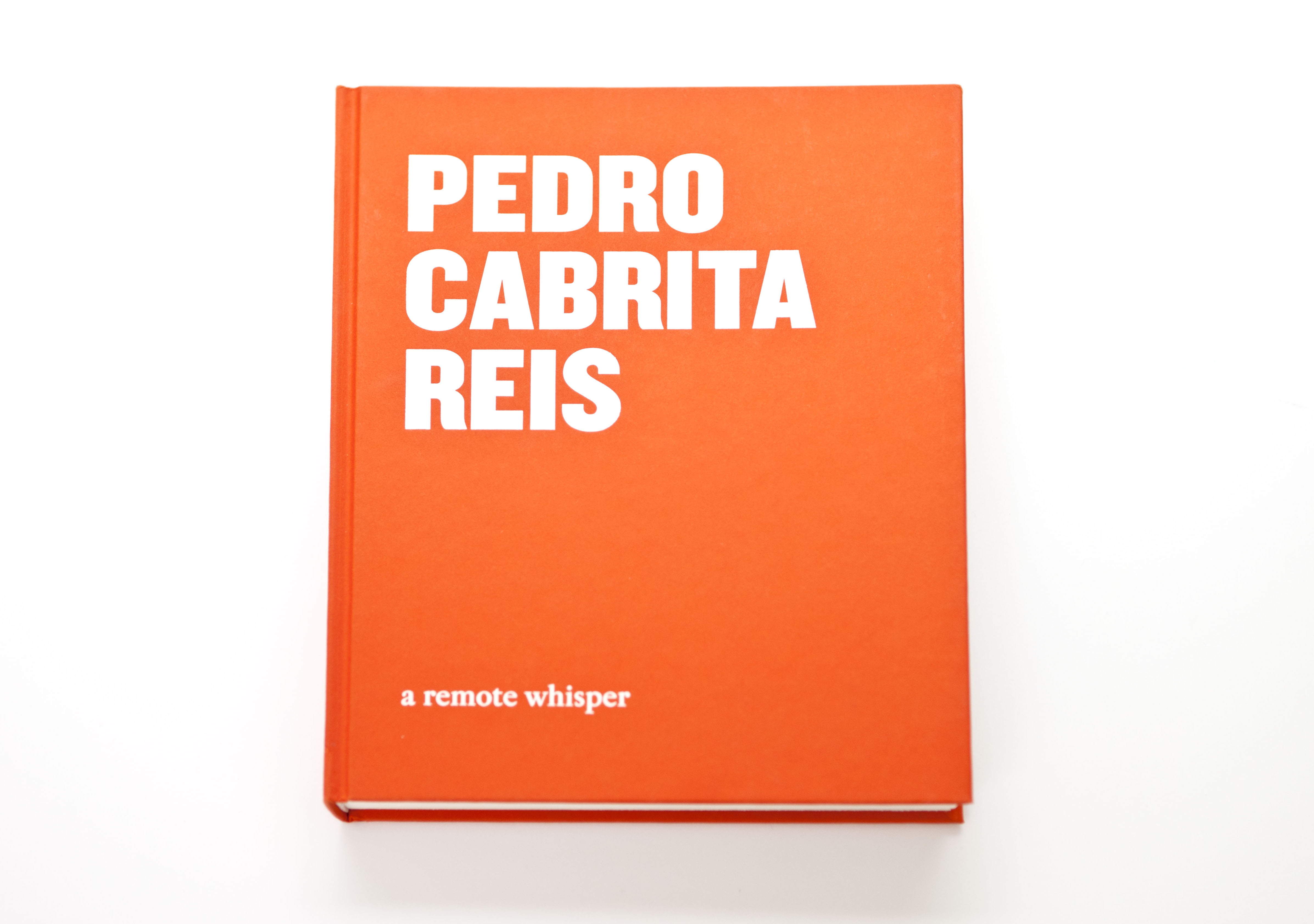 Pedro Cabrita Reis A Remote Whisper Ivorypress